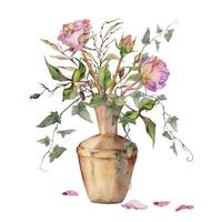 mano dibujado acuarela ilustración desgastado boho botánico flores hojas. polvoriento rosado té rosa, hiedra zarcillos, lunaria sucursales. ramo de flores aislado en blanco antecedentes. diseño boda, floral tienda tarjetas vector