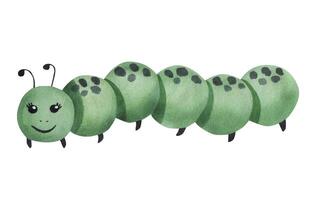 Cute green caterpillar. Watercolor illustration isolated on white background vector