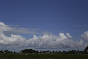 dramatic grey colors, sky with clouds photo