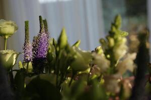 bouquet flowers in the shade and light photo