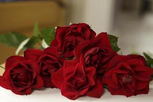 red roses lie on a white paper photo