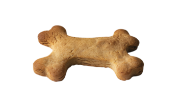 Bone shape dog cookie isolated on the transparent background, Format png