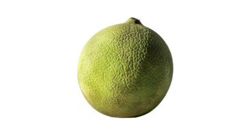 Isolated Breadfruit on Transparent Background png