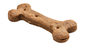 cachorro biscoitos isolado em a transparente fundo, formato png