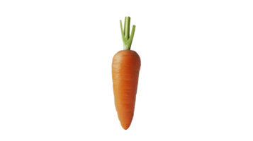 Carrot Image on Transparent Background png