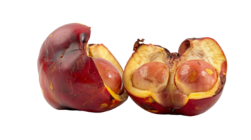 ackee fruit Aan transparant achtergrond png