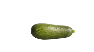 Cucumber Elegance on Transparent Background png