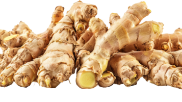 Fresh Ginger Roots isolated on the transparent background, Format png