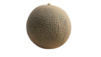 Exploring Cantaloupe on Transparent Background png