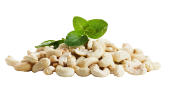 Cashew Portrait isolated on the transparent background, Format png