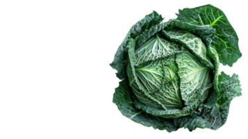 Cabbage Portrait isolated on the transparent background, Format png