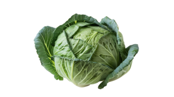 Cabbage Delight on Transparent Background png