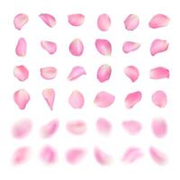 template of different shape pink rose petal isolated on white background. Realistic volumetric blurred sakura petals. Blur effect illustration. vector