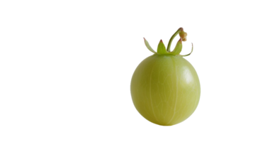 Solo Gooseberry on Transparent Background png