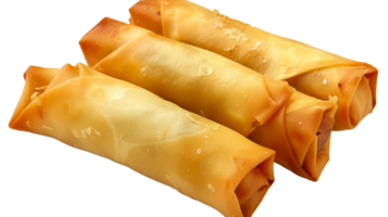 Chinese Spring Rolls isolated on the transparent background, Format png