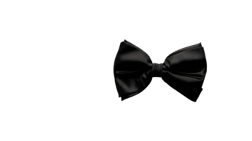 Black Bow's Allure isolated on the transparent background, Format png