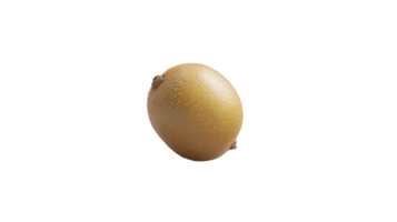 Solo Kiwi on Transparent Background png