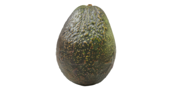 Avocado Varieties isolated on the transparent background, Format png