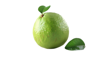 Guaven Gelassenheit auf transparent Hintergrund png