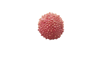 litchi närbild på transparent bakgrund png