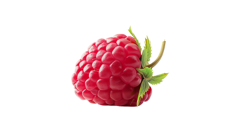 Raspberry Image on Transparent Background png