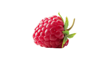 framboise image sur transparent Contexte png