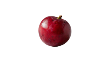 Erfassen Cranberry auf transparent Hintergrund png