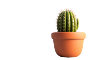 3d carino cactus pentola su trasparente sfondo png