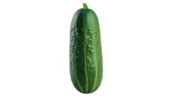 Capturing Cucumber, on transparent background, format png