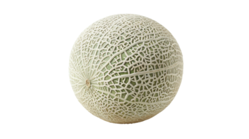 Cantaloupe Sweetness on Transparent Background png