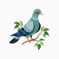 Realistic pigeon-bird concept illustration vector