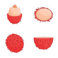 Rambutan icons set cartoon . Whole and half of fresh tropical fruit vector