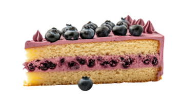 The Allure of a Blueberry Cake on Transparent Background png