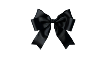 Essence of a Black Bow, on transparent background, format png