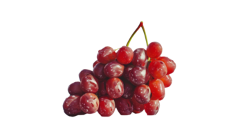 uvas belleza, en transparente fondo, formato png