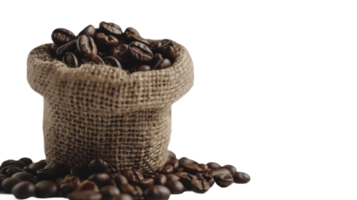 Kaffee Bohnen im ein Sack, auf transparent Hintergrund, Format png