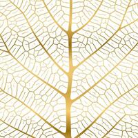 Leaf vein texture abstract background with close up plant leaf cells ornament texture pattern. vector