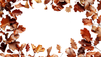 Rustic autumn leaves wide border frame png