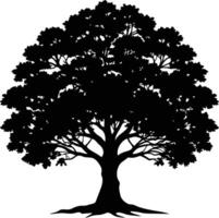 Oak tree silhouette black on white background vector