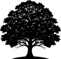 roble árbol silueta negro en blanco antecedentes vector