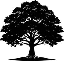 Oak tree silhouette black on white background vector