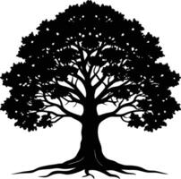 Oak tree silhouette black on white background vector