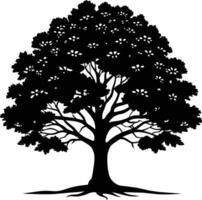 Oak tree silhouette black on white background vector