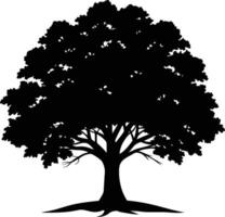 Oak tree silhouette black on white background vector