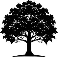 Oak tree silhouette black on white background vector