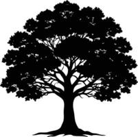 Oak tree silhouette black on white background vector