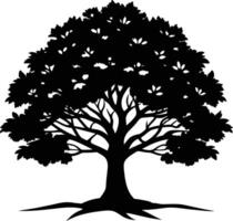 Oak tree silhouette black on white background vector