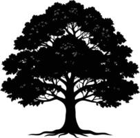 Oak tree silhouette black on white background vector