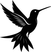 Hummingbird silhouette black illustration vector