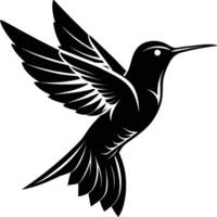 Hummingbird silhouette black illustration vector